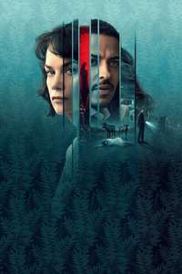 The Woman in the Wall - Posters