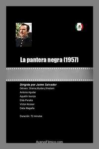 La pantera negra - Posters