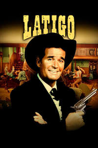 Support Your Local Gunfighter - Posters
