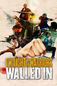 Twilight of the Warriors: Walled In - Posters