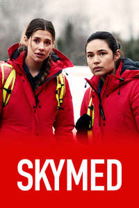 SKYMED - Posters