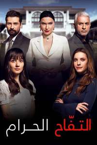 Yasak Elma - Posters
