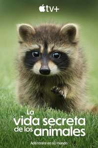The Secret Lives of Animals - Posters