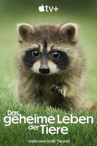The Secret Lives of Animals - Posters