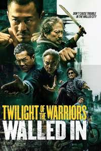 Twilight of the Warriors: Walled In - Posters