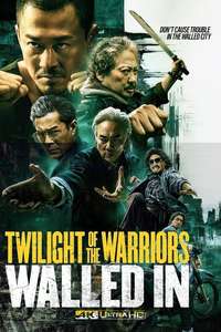 Twilight of the Warriors: Walled In - Posters