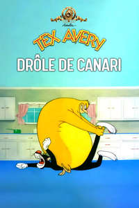 King-Size Canary - Posters