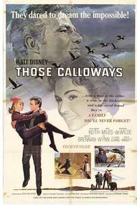 Those Calloways - Posters