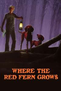 Where the Red Fern Grows - Posters