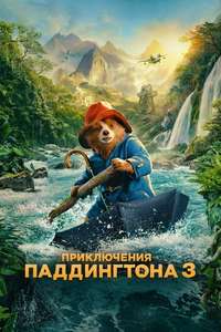Paddington in Peru - Posters
