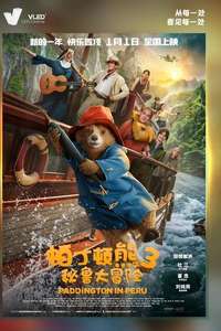 Paddington in Peru - Posters