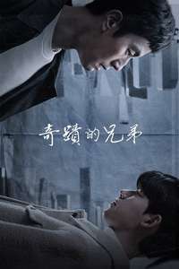 Miraculous Brothers - Posters