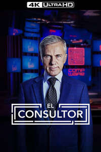 The Consultant - Posters