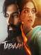 Tabaah