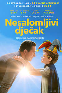 The Unbreakable Boy - Posters