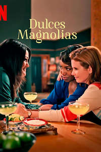 Sweet Magnolias - Posters