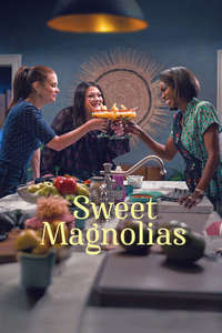 Sweet Magnolias - Posters