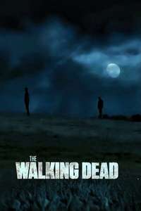 The Walking Dead - Posters