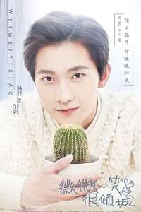 Love O2O - Posters