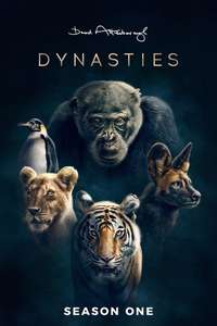 Dynasties - Posters