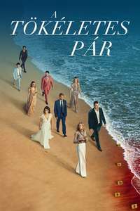 The Perfect Couple - Posters