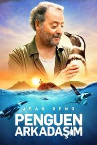 My Penguin Friend - Posters