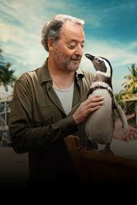 My Penguin Friend - Posters
