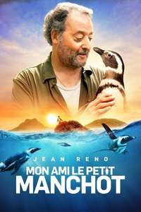 My Penguin Friend - Posters