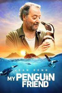 My Penguin Friend - Posters