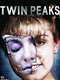 Twin Peaks: The Missing Pieces