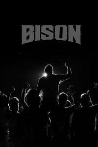 Bison Kaalamaadan - Posters