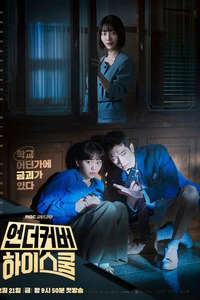Undercover High School - Posters