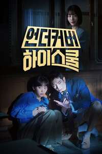 Undercover High School - Posters