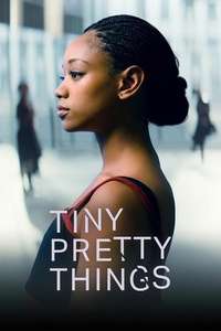Tiny Pretty Things - Posters