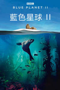 Blue Planet II - Posters