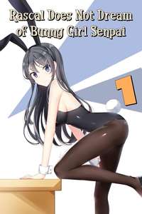 Rascal Does Not Dream of Bunny Girl Senpai - Posters