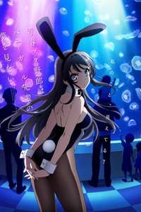 Rascal Does Not Dream of Bunny Girl Senpai - Posters