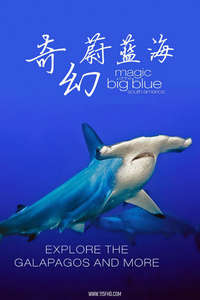 The Magic of the Big Blue - Posters