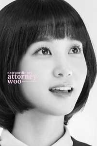 Extraordinary Attorney Woo - Posters