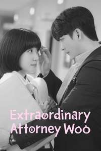 Extraordinary Attorney Woo - Posters