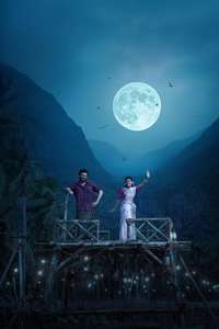 Sankranthiki Vasthunam - Posters