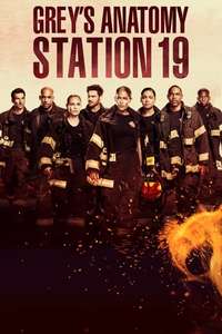 Station 19 - Posters