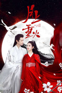 And the Winner Is Love - Posters