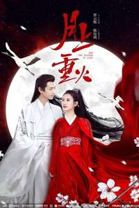 And the Winner Is Love - Posters