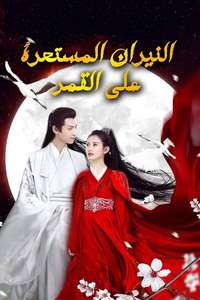 And the Winner Is Love - Posters