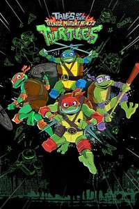 Tales of the Teenage Mutant Ninja Turtles - Posters
