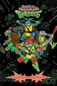 Tales of the Teenage Mutant Ninja Turtles - Posters