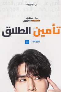 The Divorce Insurance - Posters