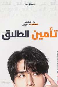 The Divorce Insurance - Posters