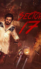 Sector 17